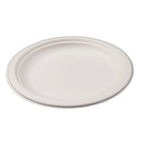 9" WHITE BAGASSE DINNER PLATE